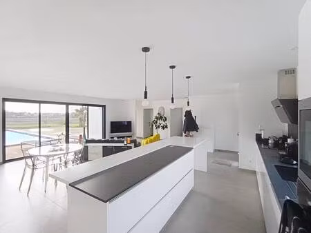 safti massip levis conseiller indépendant