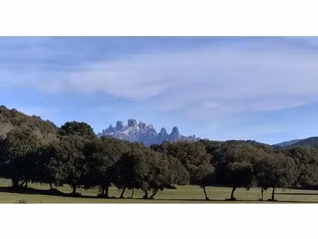 san gavino di carbini - terrain 490 m² - au coeur du village