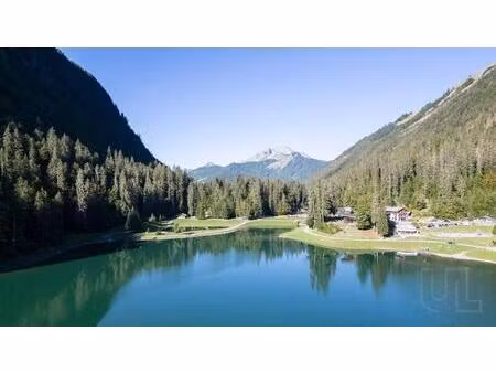 achat : maison (74110)