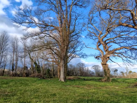dépendance à aménager proche dax possibilite 130 m2 sur terrain de 2825 m2