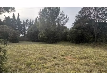 saint-siffret  terrain constructible viabilisé de 525 m²
