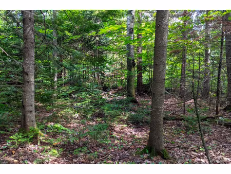 annonce terrain à vendre