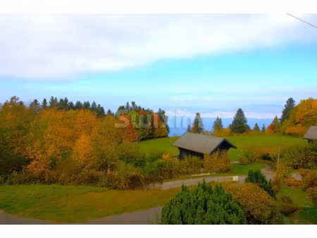 vente chalet 4 pièces 76 m² à thollon-les-mémises (74500)  379 000 €