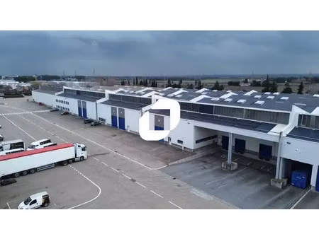 logistique urbaine en zfu