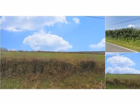 terrain à bâtir à vendre à rue de la fortelle beauwelz (vwd16388)