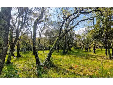 vente terrain 1771 m² saint-siffret (30700)