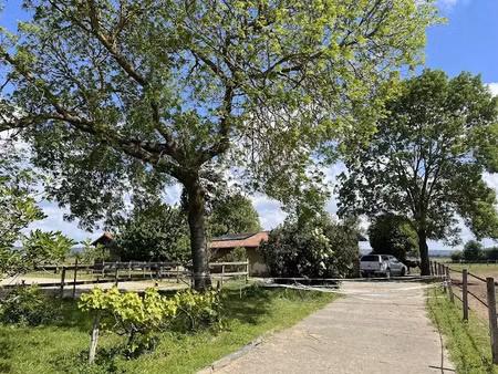 vente propriété 7 pièces 228 m² à martres-de-rivière (31210)  508 000 €