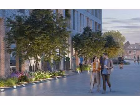 liv-de molens: uw handelszaak in het hartje van deinze.