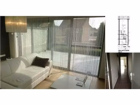 appartement à louer à dilserweg 12 opoeteren (rwc41675)