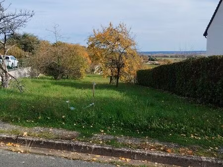 terrain constructible