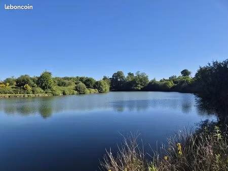 terrain 38500 m² la pellerine