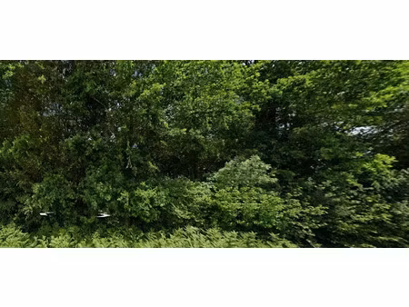 vente terrain 6381 m² à corme-royal (17600)  6 990 €