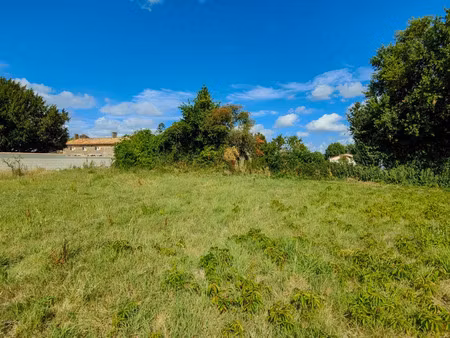 vente terrain à sauzé-vaussais (79190)  14 260 €