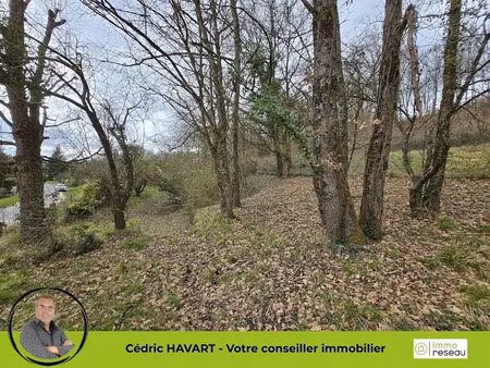 vente terrain à seigy (41110)  17 900 €