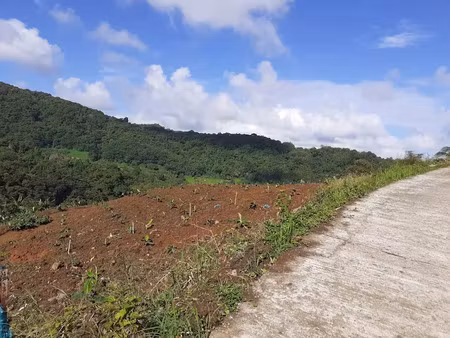 vente terrain 5874 m² à le lorrain (97214)  56 000 €