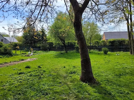 vente terrain à batir 1300 m² à avesnes-sur-helpe (59440)  49 500 €