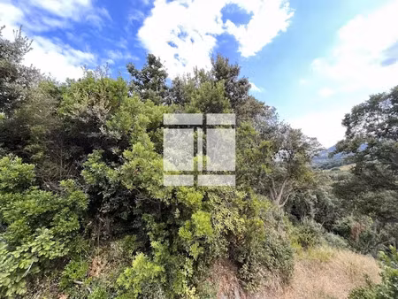 vente terrain 1860 m² à cervione (20221)  70 000 €