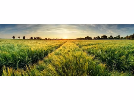 vente terrain 328 m² à mouilleron-le-captif (85000)  60 000 €