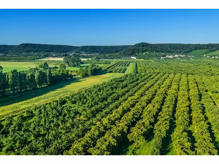 vente terrain 487 m² à la roche-sur-yon (85000)  91 000 €