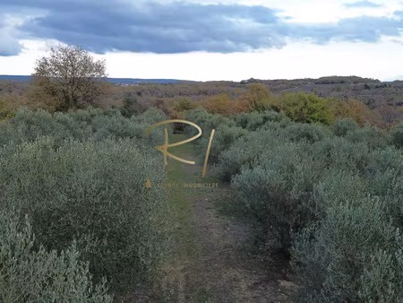 vente terrain 2480 m² à saint-privat-de-champclos (30430)  164 000 €