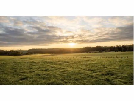 vente terrain 500 m² à martillac (33650)  171 000 €