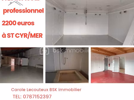 vente locaux professionnels 192 m² à saint-cyr-sur-mer (83270)  11 000 €