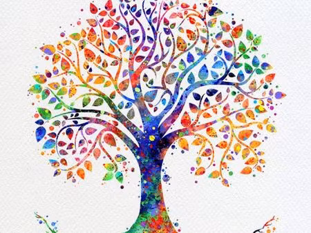 cherche maison 3-4 chambres mini avec jardin et garage