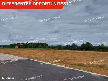 terrain 3 344 m² saint allouestre