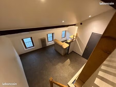 appt. f1 de 31m2 hyper centre ville