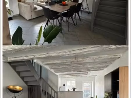 t1 bis libre au 1er mars