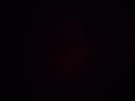 location maison individuelle