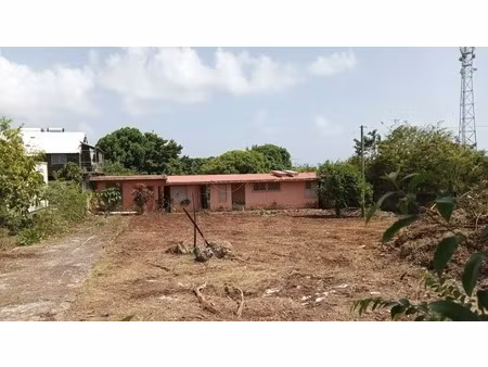 maison à vendre 7 pièces  1615m2 terrain à sainte anne (971)