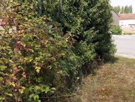 céde sci seulement 2 associé