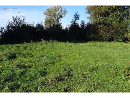 terrain viabilise   genas centre  585 m² libre constructeur