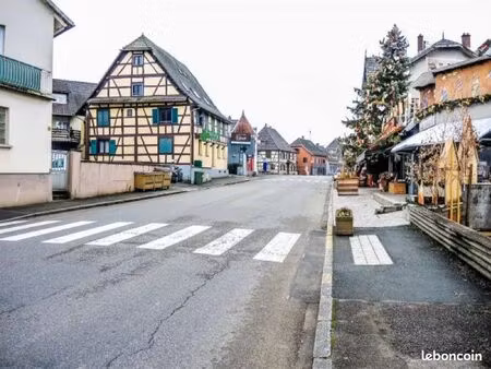 recherche maison ou grand app sur dannemarie