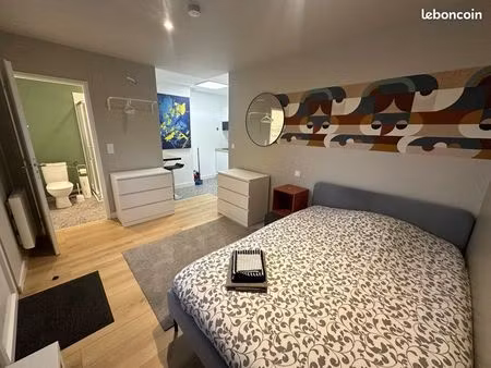 gîte cnpe avoine / chinon 1 personne studio