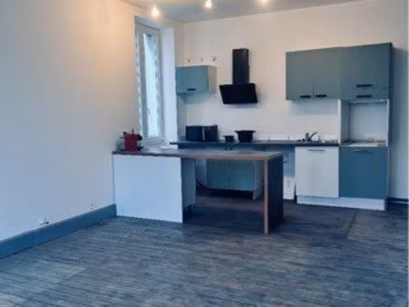 appartement rénové centre ville