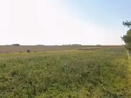 terrain à vendre - 1000 m2 - erceville - 45 - centre