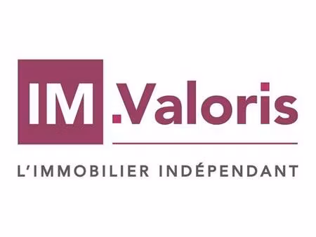 achat local commercial 300m² nazelles negron 37530