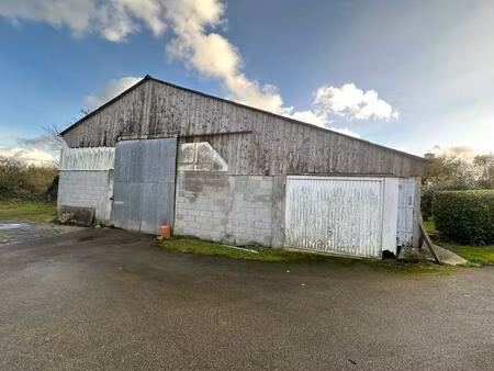 vente local industriel plouarzel (29810)