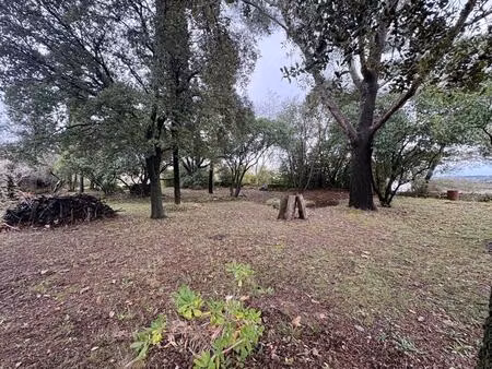 magnifique terrain constructible arbore