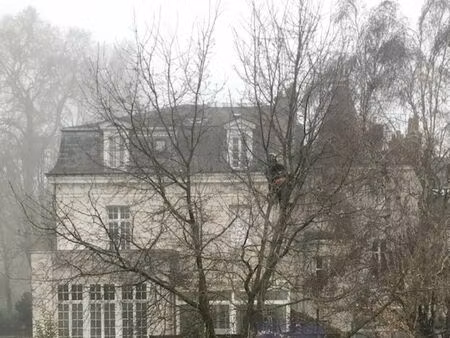 location appartement 1 pièce 18 m² à tours (37000)