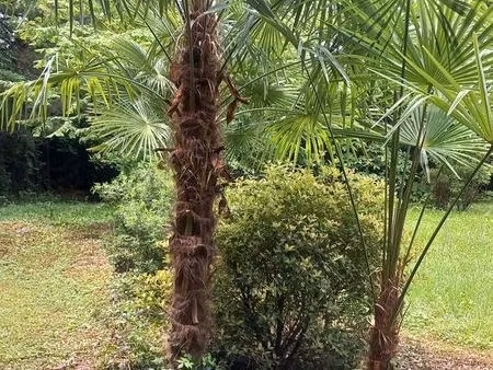 terrain d'agrement a vendre