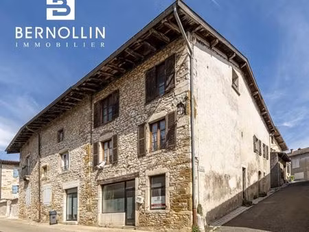 immeuble 186 m² treffort cuisiat