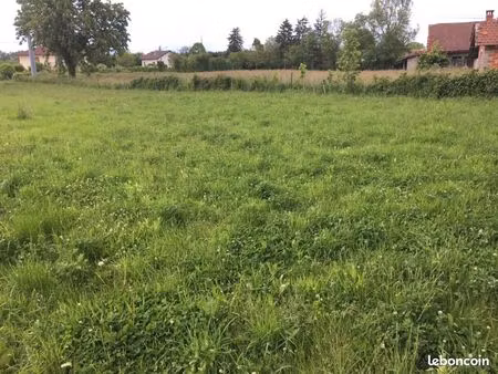 terrain 481 m² buellas