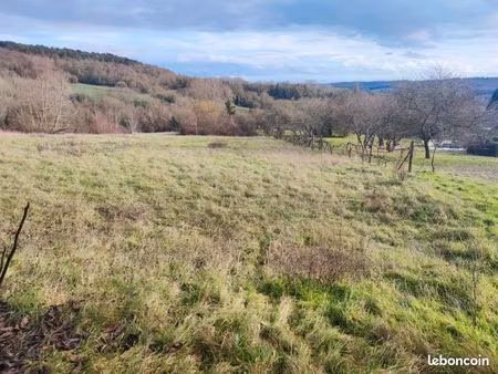 terrain herbeux 1340m2 à vailly-sur-aisne - calme et nature
