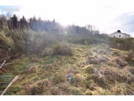 terrain 1155 m² saulcy sur meurthe