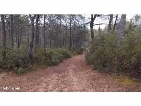 terrain pinède 18460 m2 situé dans le var  à le val  proche brignoles