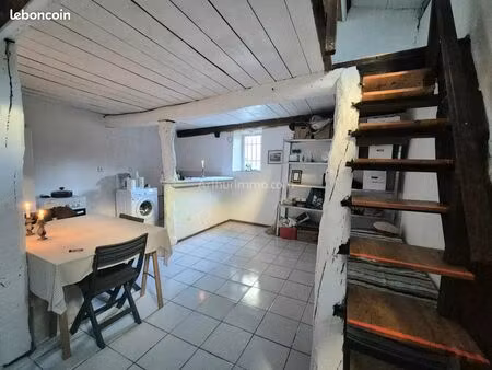 loft/atelier/surface 2 pièces 45 m²