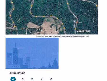 terrain taillis  terre  lande